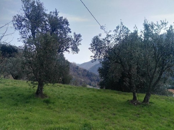 terreno agricolo in vendita a Varazze in zona Pero
