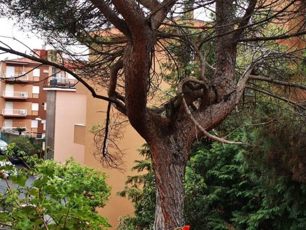 appartamento in vendita a Varazze