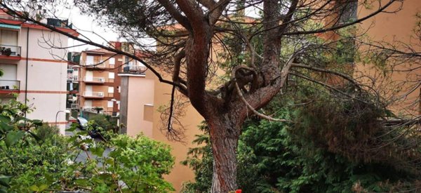 appartamento in vendita a Varazze