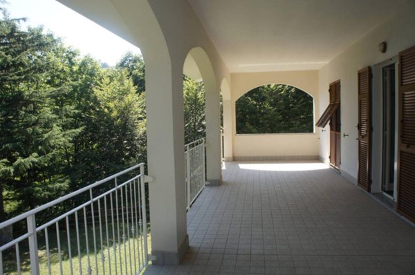 immagine annuncio 0 di 15