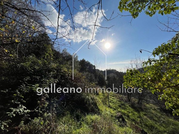 terreno agricolo in vendita a Varazze