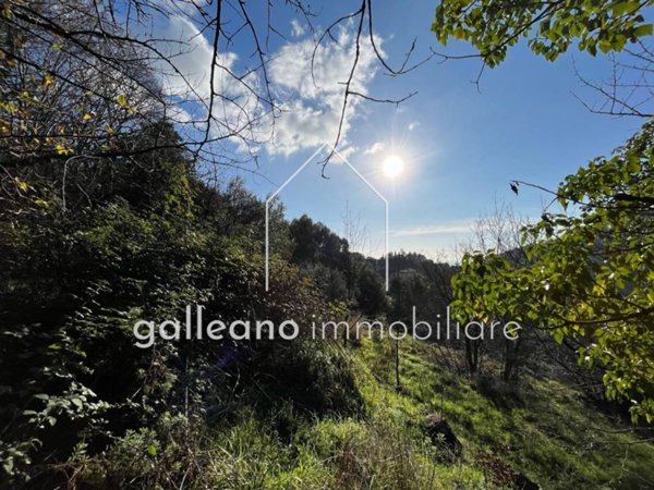 terreno agricolo in vendita a Varazze in zona Casanova