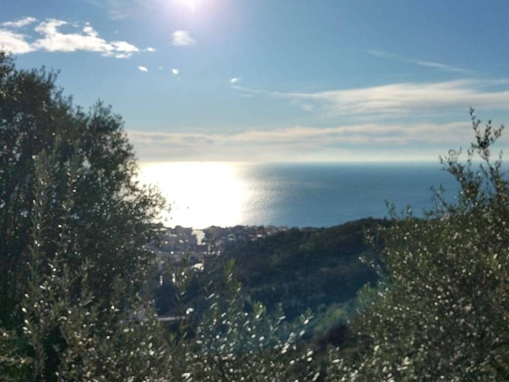 appartamento in vendita a Varazze in zona Cantalupo