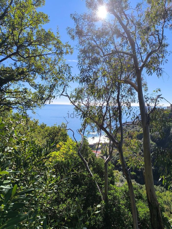 casa indipendente in vendita a Varazze