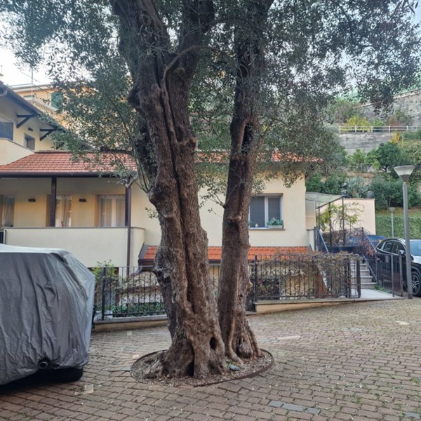 appartamento in vendita a Varazze