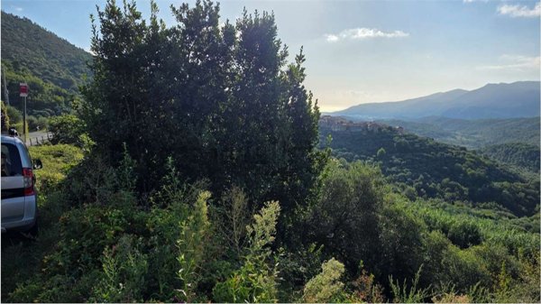 casa indipendente in vendita a Varazze