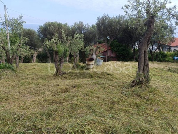 terreno agricolo in vendita a Varazze in zona Cantalupo
