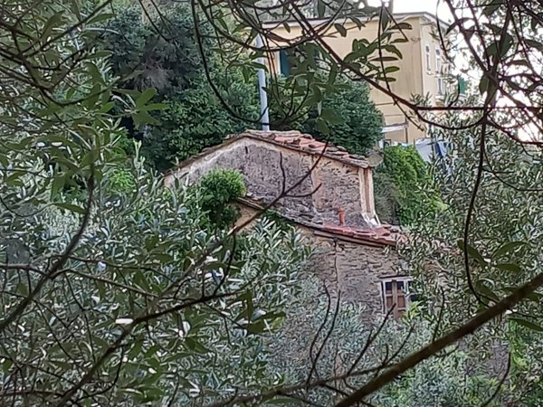 esavano in vendita a Varazze in zona Cantalupo