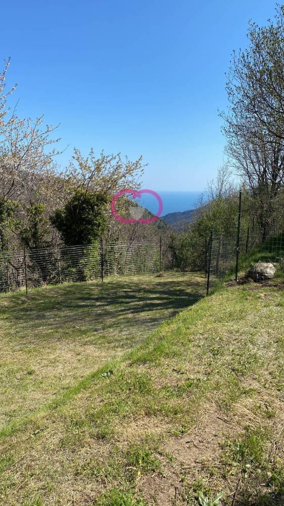 terreno agricolo in vendita a Varazze in zona Alpicella