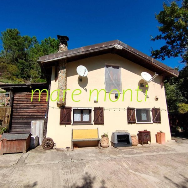 immagine annuncio 0 di 5