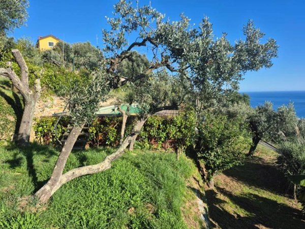 casa indipendente in vendita a Varazze in zona Casanova