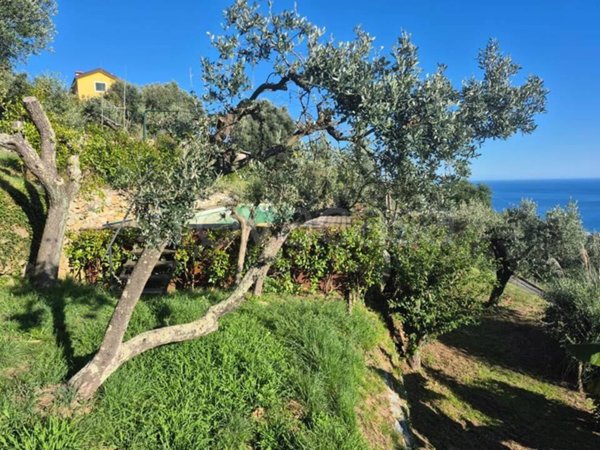 casa indipendente in vendita a Varazze in zona Casanova