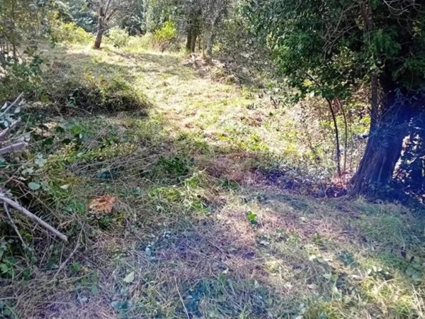 terreno agricolo in vendita a Varazze in zona Casanova