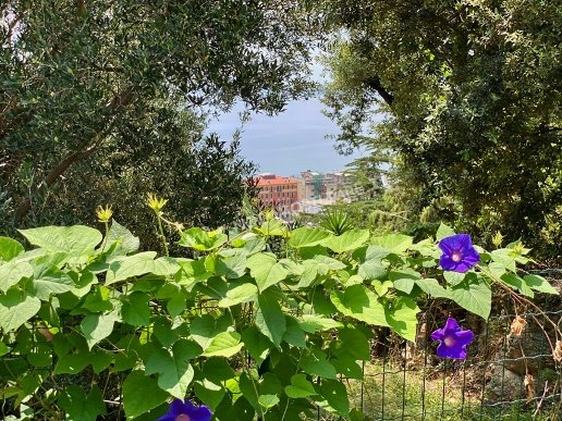 appartamento in vendita a Varazze