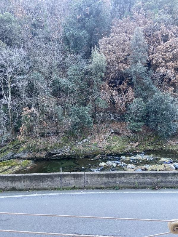 appartamento in vendita a Varazze