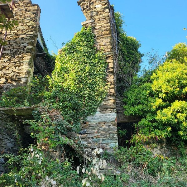 quadrivano in vendita a Varazze