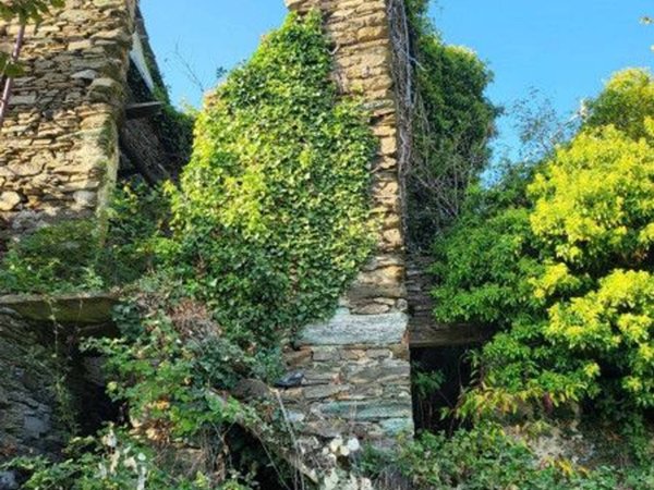 casale in vendita a Varazze