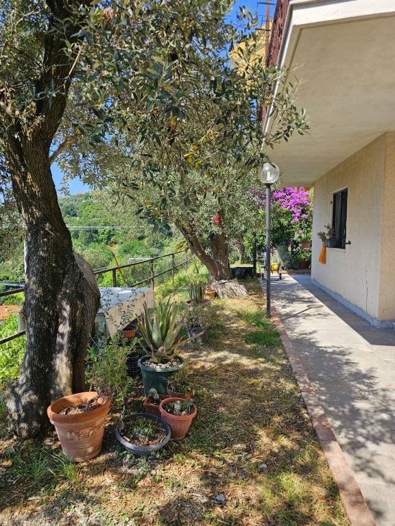 appartamento in vendita a Varazze in zona Castagnabuona