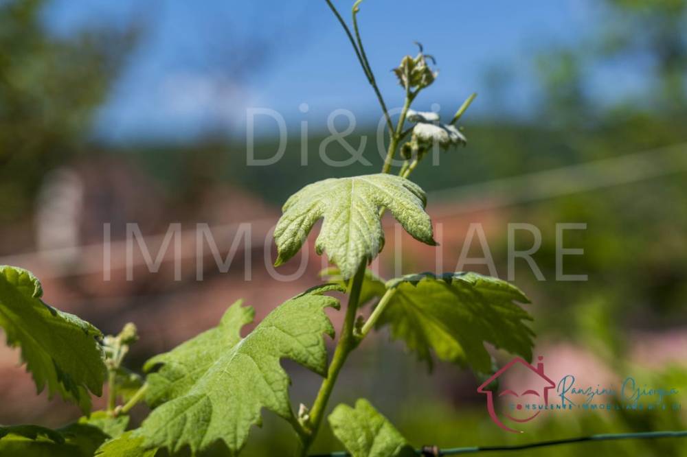 appartamento in vendita a Vendone in zona Leuso