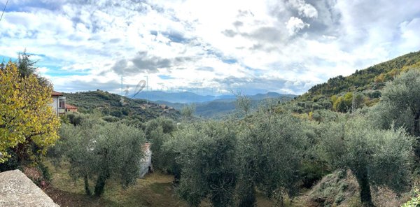 casa indipendente in vendita a Vendone