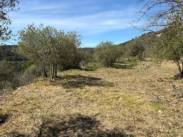 casa indipendente in vendita a Vendone