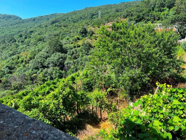 casale in vendita a Vezzi Portio