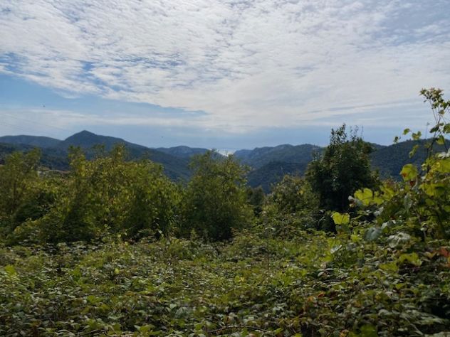 terreno agricolo in vendita a Vezzi Portio in zona San Giorgio