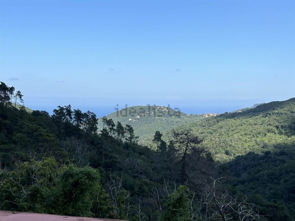 appartamento in vendita a Vezzi Portio