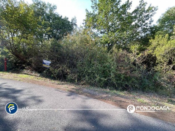 terreno agricolo in vendita a Villanova d'Albenga in zona Bossoleto
