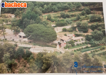 appartamento in vendita a Villanova d'Albenga in zona Coasco