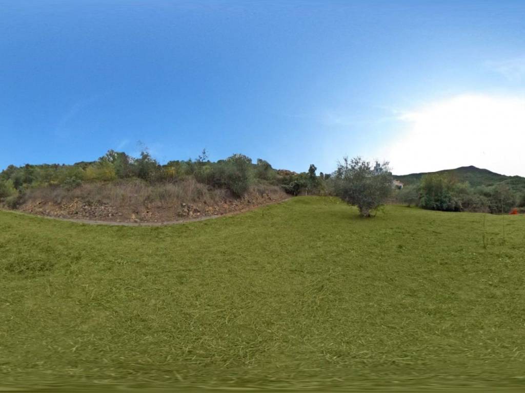 terreno agricolo in vendita a Villanova d'Albenga