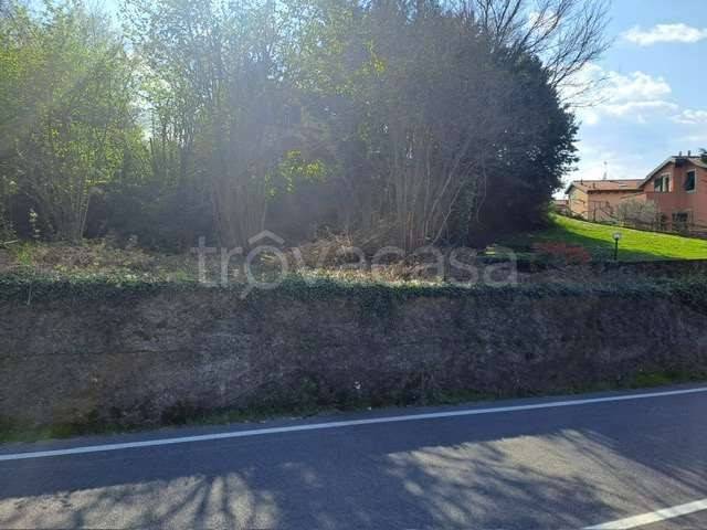 terreno agricolo in vendita a Villanova d'Albenga in zona Bossoleto