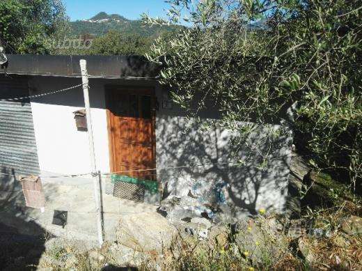 terreno agricolo in vendita a Villanova d'Albenga in zona Bossoleto