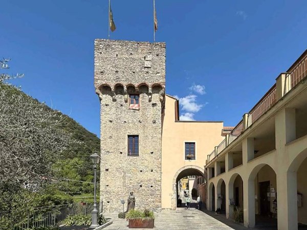 casa indipendente in vendita a Zuccarello