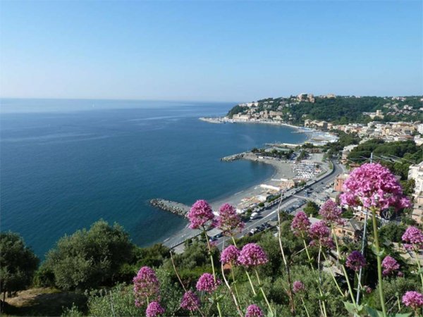 negozio in vendita ad Arenzano