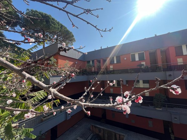 appartamento in vendita ad Arenzano