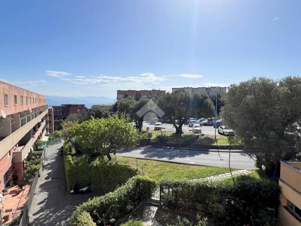 quadrivano in vendita ad Arenzano