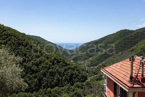 casa indipendente in vendita ad Avegno in zona Salto