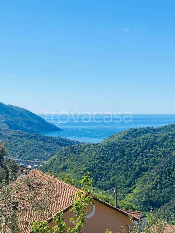 casa indipendente in vendita ad Avegno in zona Testana