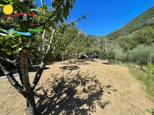 terreno agricolo in vendita ad Avegno