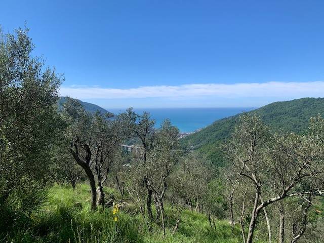 terreno agricolo in vendita ad Avegno in zona Testana