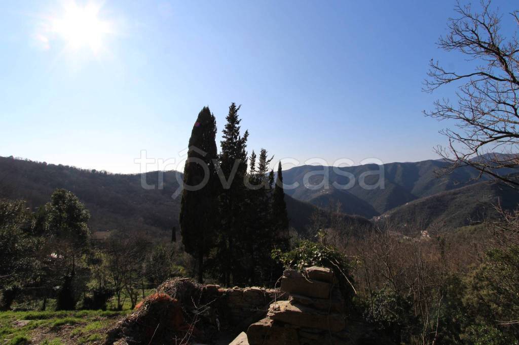 casa indipendente in vendita ad Avegno in zona Vescina