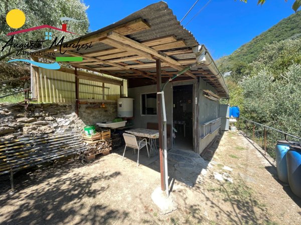 terreno agricolo in vendita ad Avegno