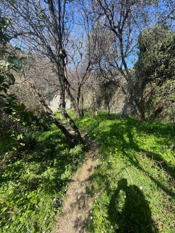 terreno agricolo in vendita ad Avegno in zona Testana