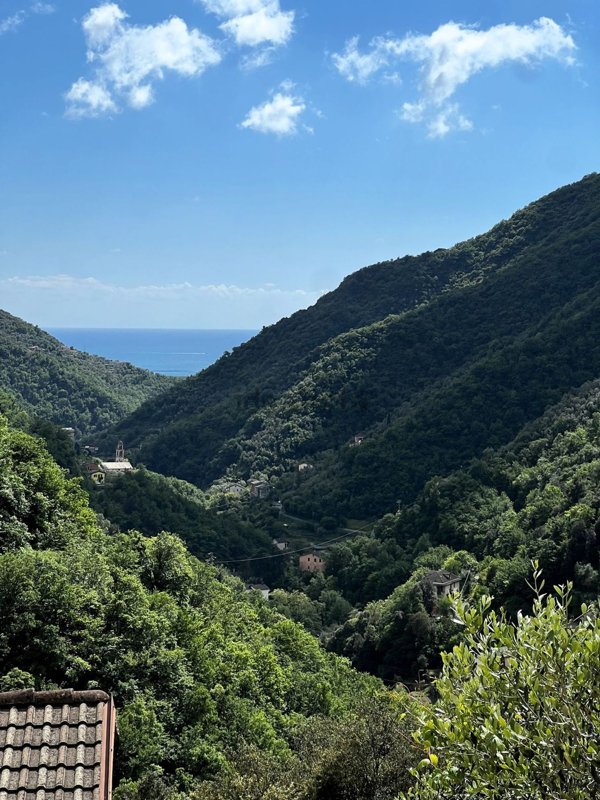 appartamento in vendita ad Avegno in zona Salto
