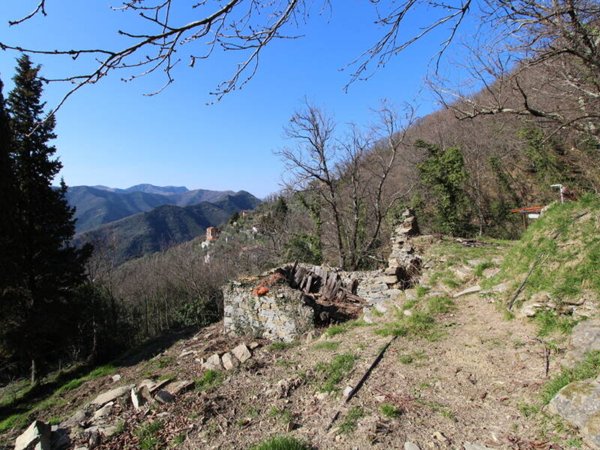 terreno edificabile in vendita ad Avegno