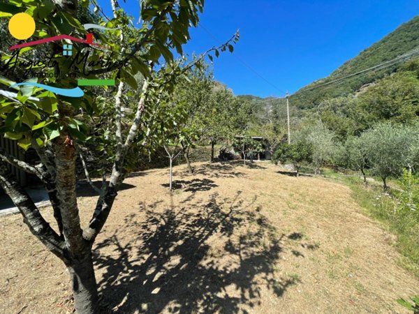 terreno agricolo in vendita ad Avegno