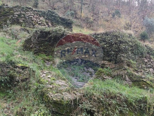 terreno edificabile in vendita ad Avegno in zona Vescina