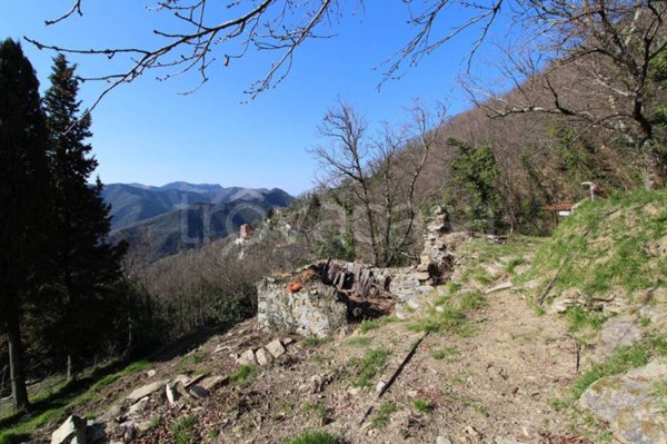 casa indipendente in vendita ad Avegno in zona Vescina