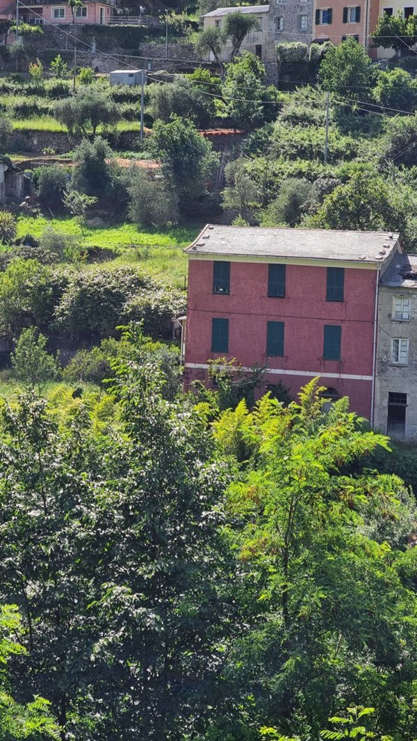 esavano in vendita ad Avegno